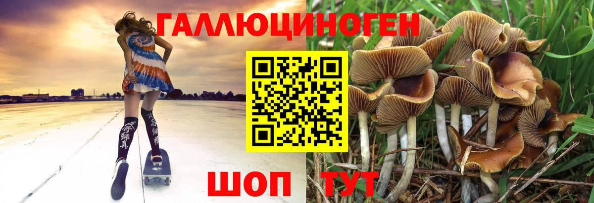 Махачкала  Галлюциногенные грибы GOLDEN TEACHER  Вход с VPN 