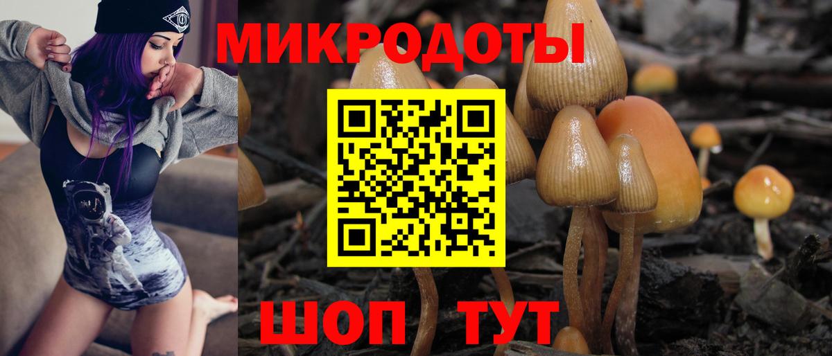 Галлюциногенные грибы мухоморы Махачкала